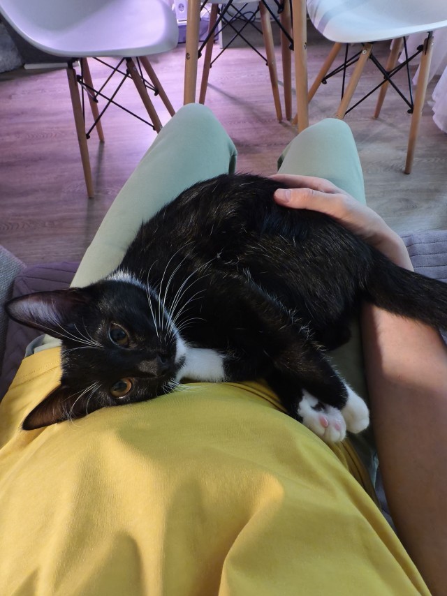 Нашелся таки хозяин (точнее хозяйка)