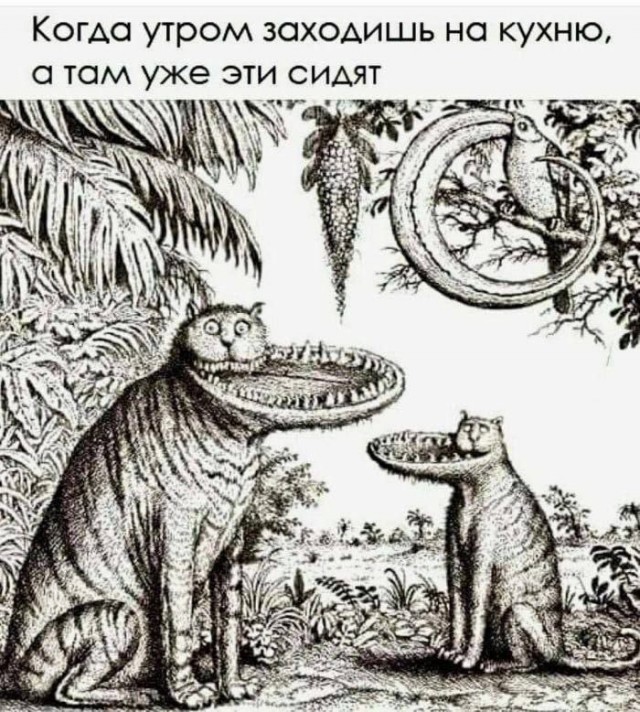 Нет аппетита у кота - лайфхак )