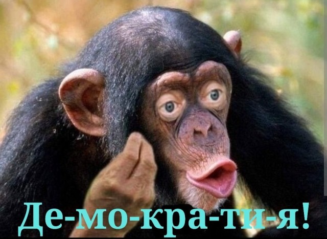 Иранские хакеры слили видео танца директора ФБР Каша Пателя
