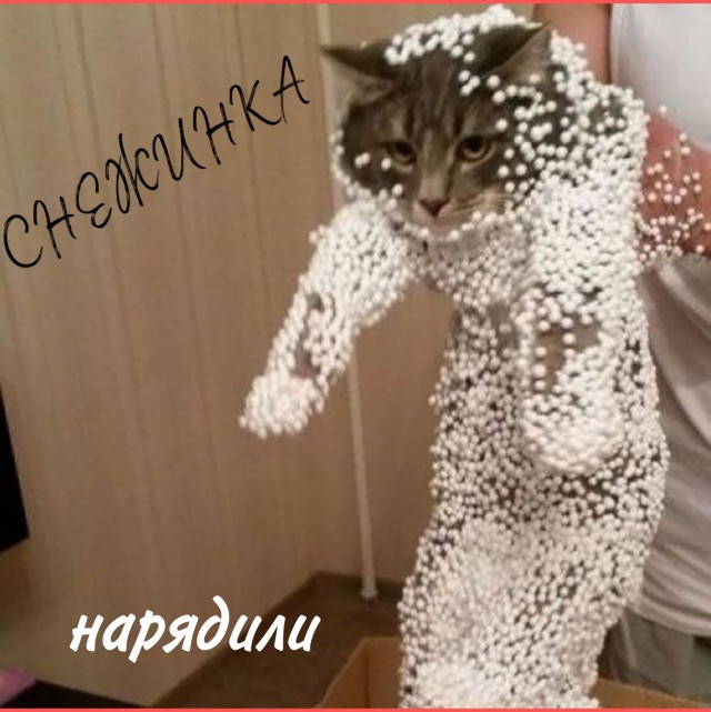 Поглотила пучина