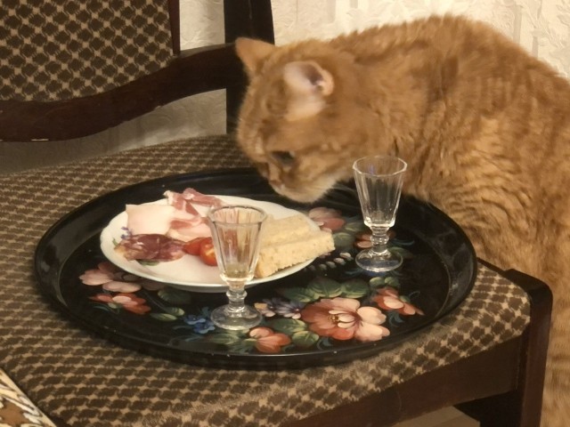 Рыжий в кабале)
