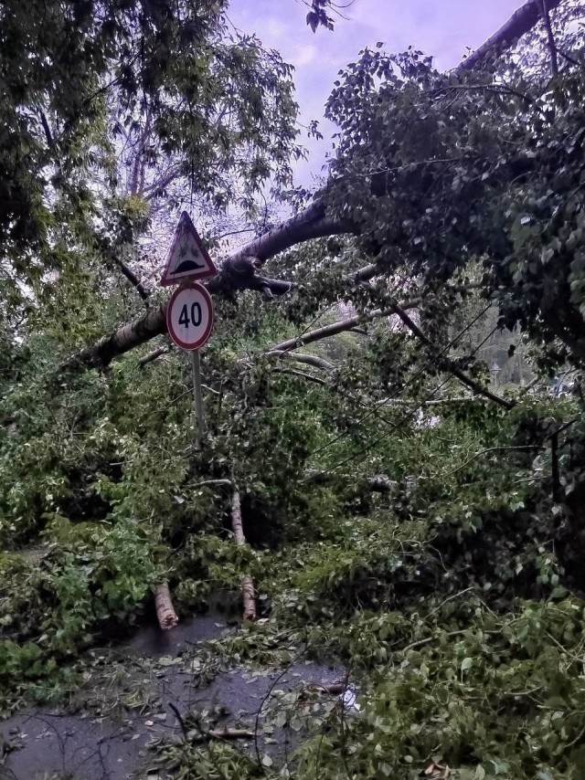Челябинская непогода