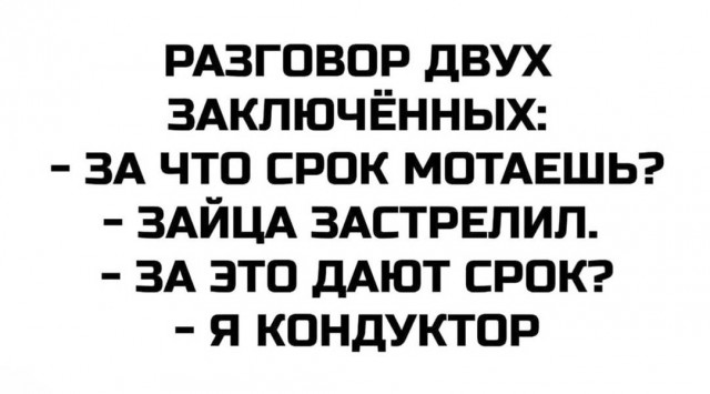 Веселые картинки в пятницу (21.08)
