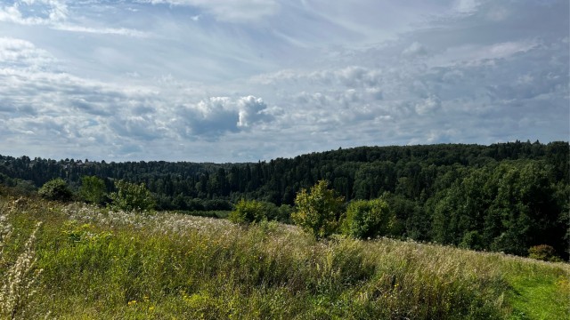 Летний вечер в деревне