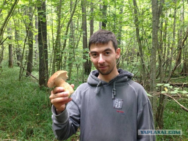 За грибами