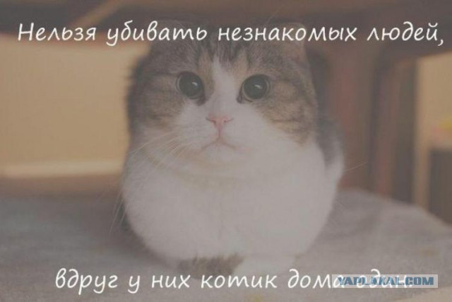 Фарион призвала "убивать московских тварей"
