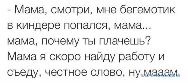 Смешные комментарии из социальных сетей