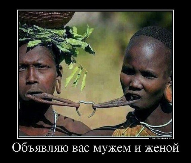 Смешные картинки