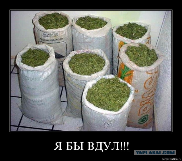 Наркологи с тоской вспоминают прежние времена