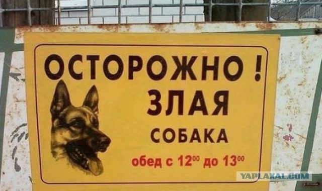 Таблички собачьи