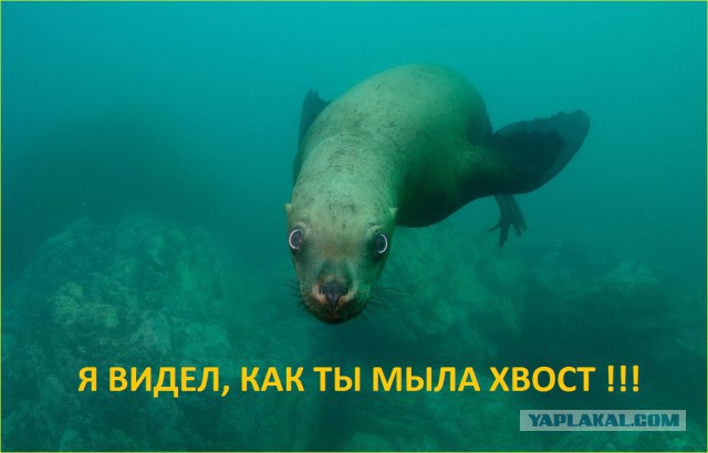 Русалка на Байкале