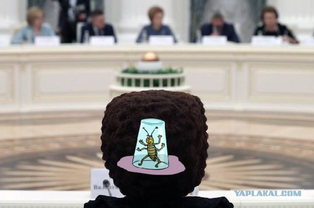 Без комментариев