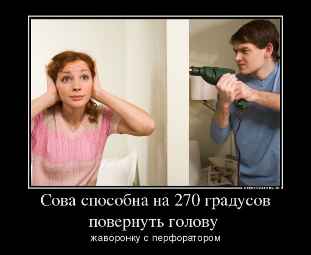 Очередная порция картинокначерномфоне