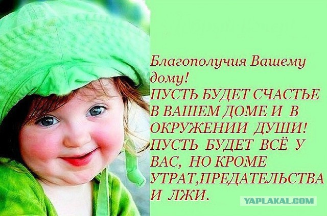 Лёха, вставай!
