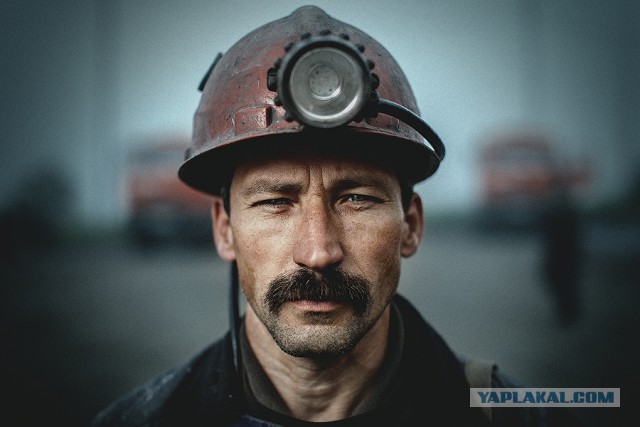 Трудовой народ в лицах