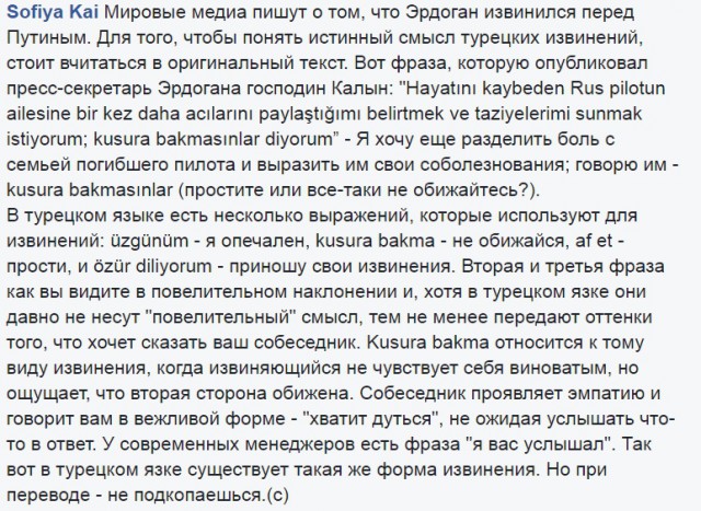 Президент Турции извинился перед Путиным за сбитый Су-24