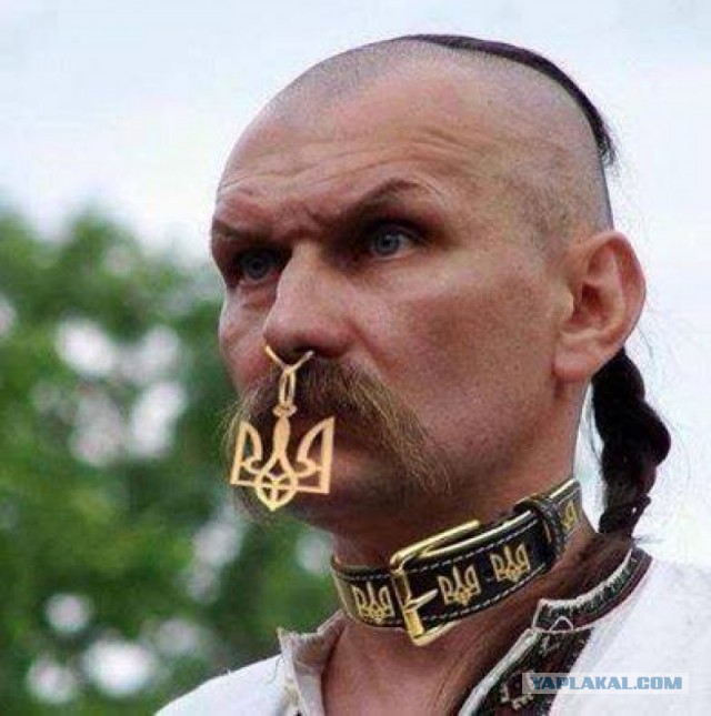 Еврей таки ткнул носом бандеровцев