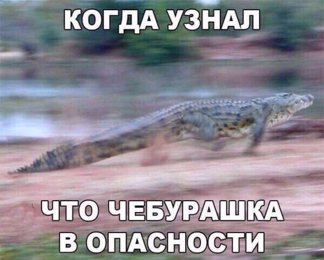 Всячина. Картинки
