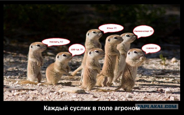 ПК на «Эльбрусах» готовы к массовому выпуску. Впервые названа цена