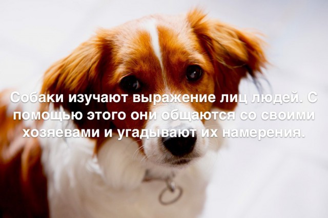 35 занимательных фактов