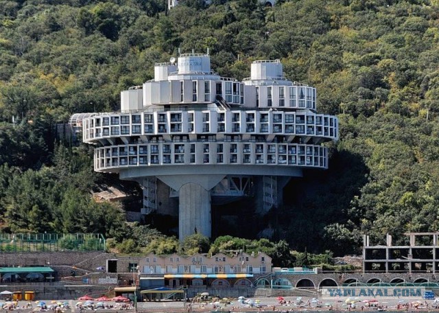 Порция картинок