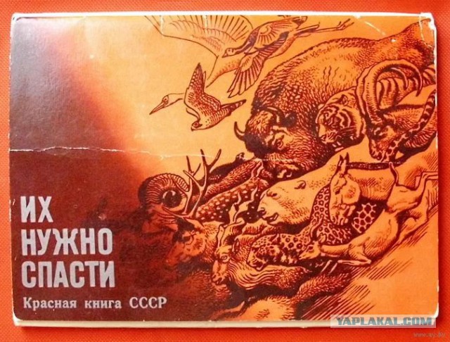 Женские форумы порой - источник немыслимой дичи