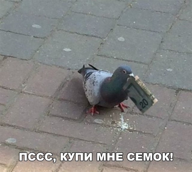 Нестандартный юмор