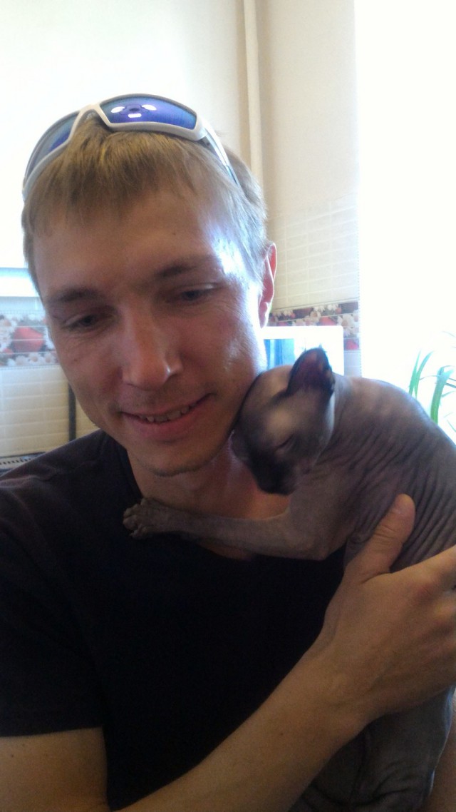 Котовторник 05.06.2018