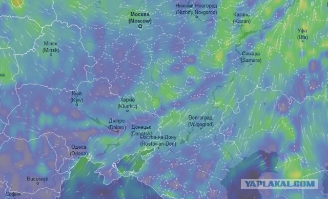 Горит самая зараженная часть Чернобыля - Рыжий Лес