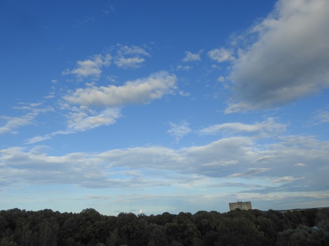 Свиные Ребрышки БарБеКю