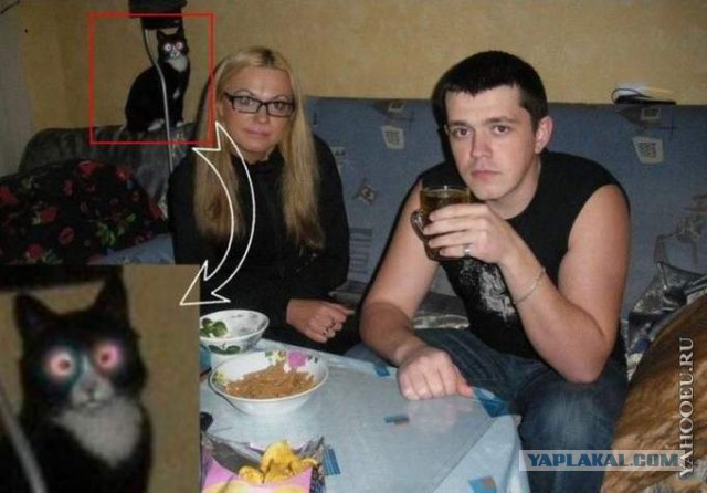 Фотографии в которых всё самое интересное происходит на фоне