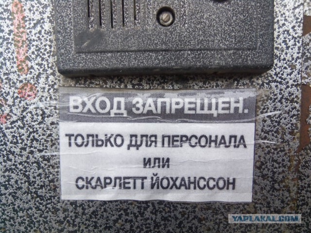Перлы