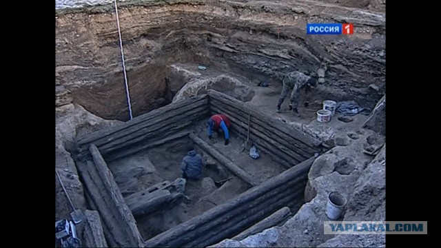 Полистратные окаменелости