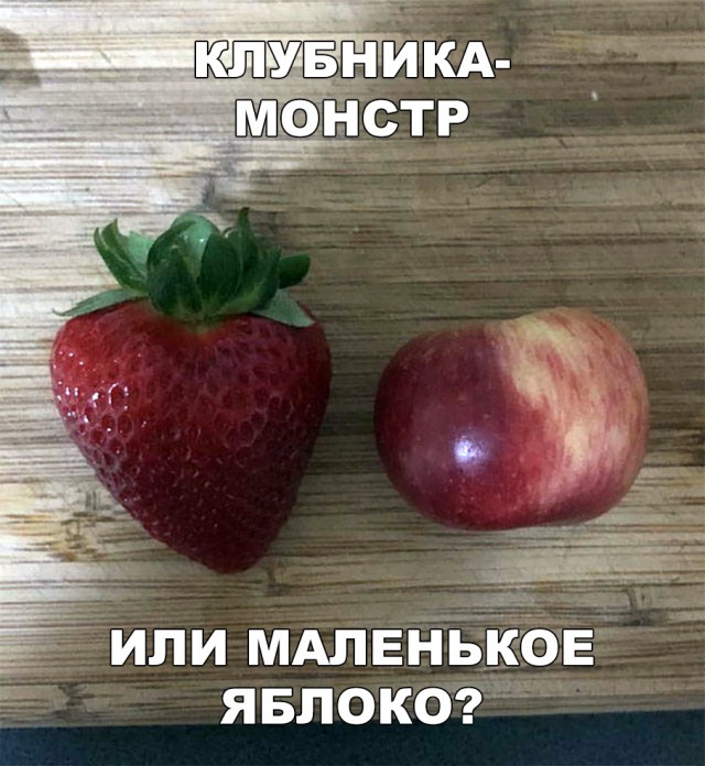 Нестандартный юмор