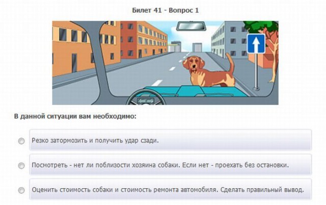 Новое предложение Госдумы: «тест на идиота» для водителей