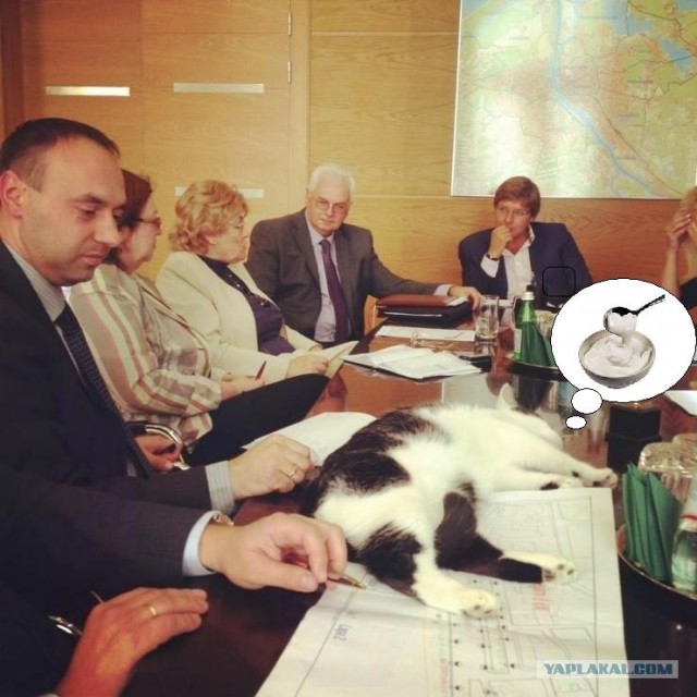 Скучные вы