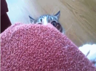 Нервы ни к черту!