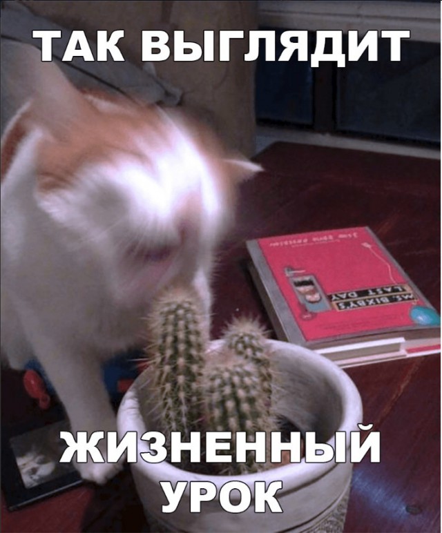 Нестандартный юмор