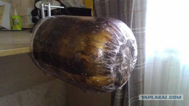 Авиамодельного рукоделия пост 2: Восставший из дров
