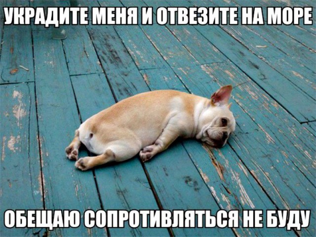 Немного картинок для настроения 19.10.19