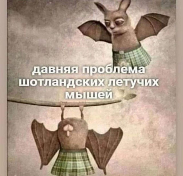 Чуток картинок 28.11.19