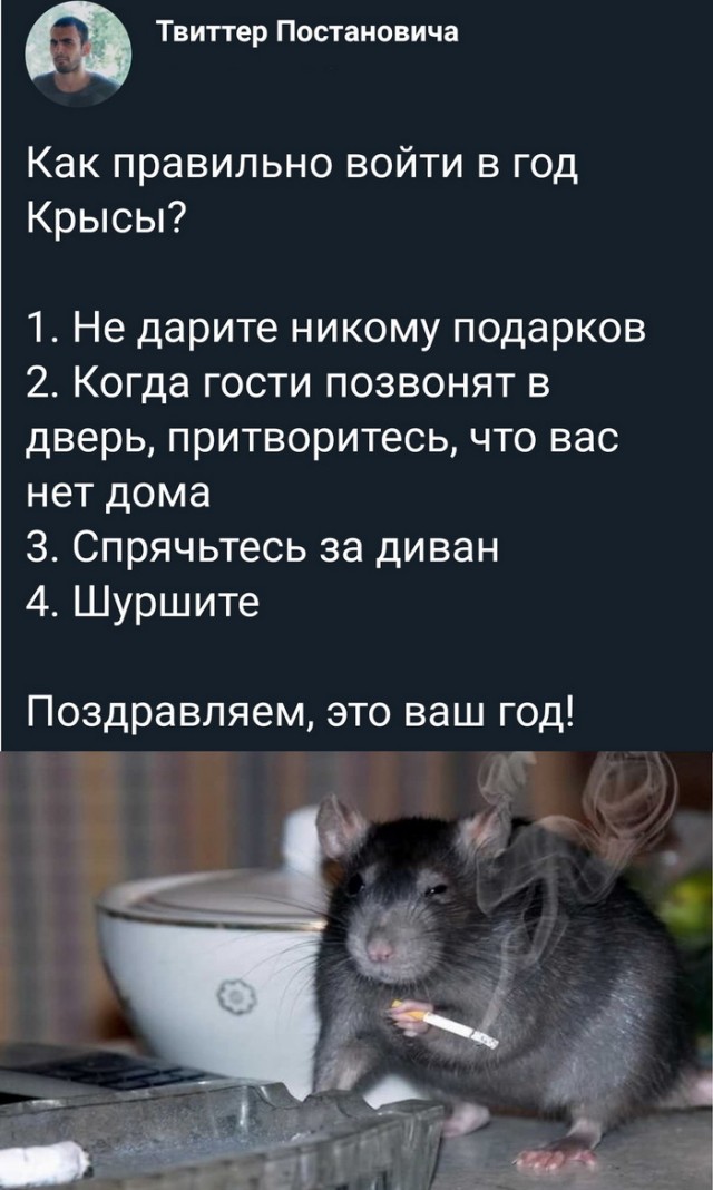 Картинки с надписями, истории и анекдоты 03.01.20