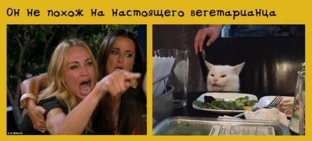 Мем "женщина кричит на кота" и его варианты