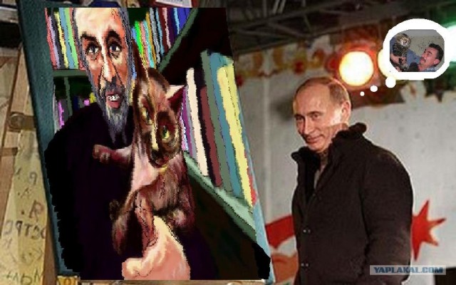 Злой кот
