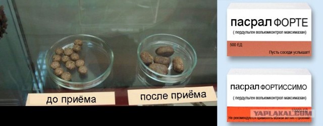 Удивительное рядом