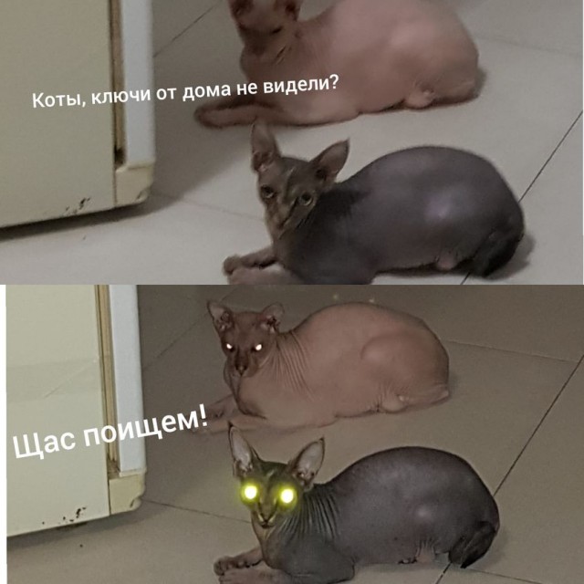 С миру по нитке 27.11