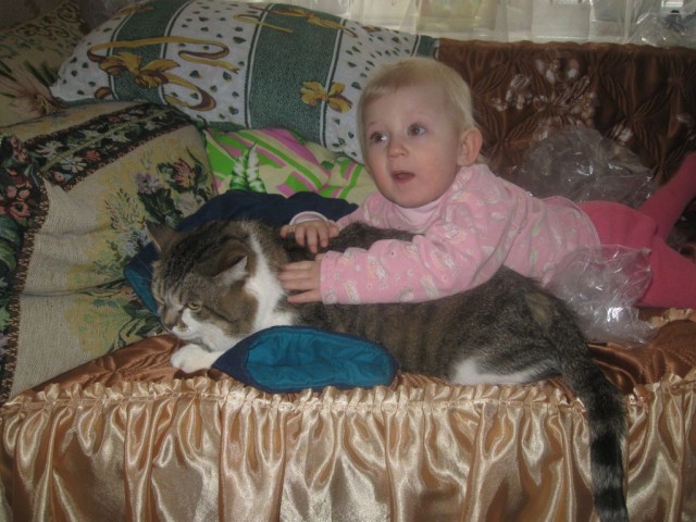 Наш кот Сёма.