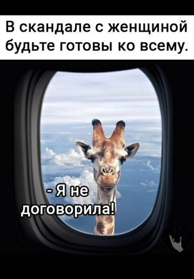 Бредзона 08.02.2021