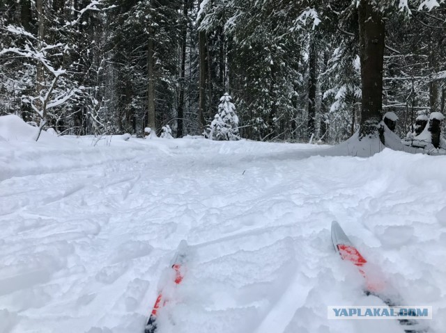 Похмельное утро