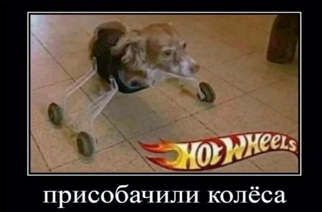 Встречаем новую неделю. И новый месяц